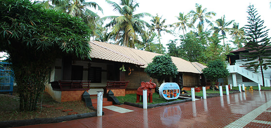 Ayurveda at Clafouti